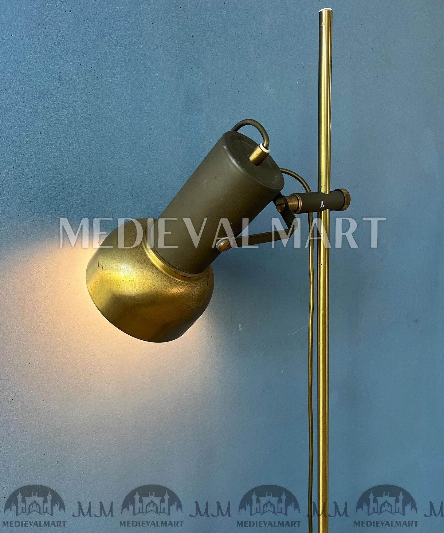 MEDIEVALMART Vintage Brass Floor Lamp with Adjustable Spot