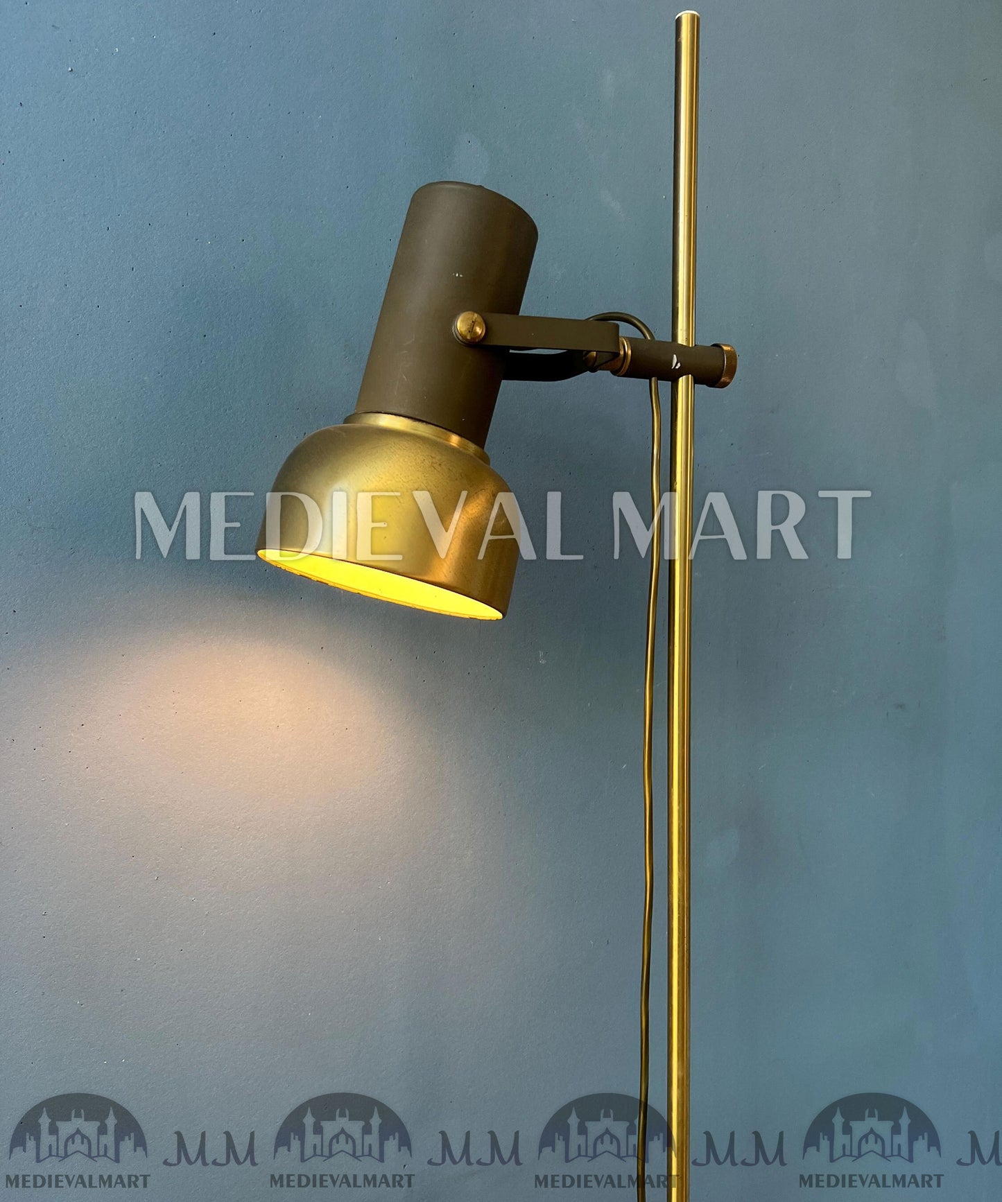 MEDIEVALMART Vintage Brass Floor Lamp with Adjustable Spot