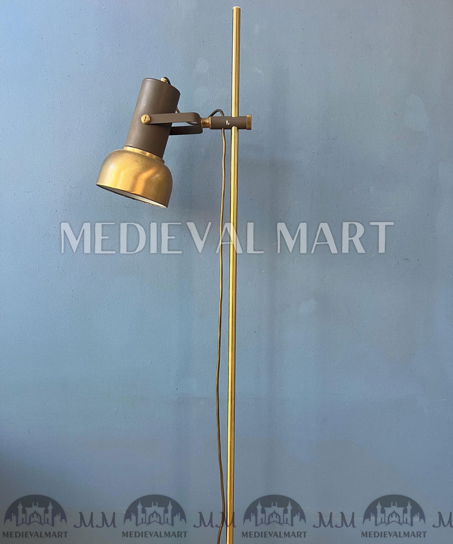MEDIEVALMART Vintage Brass Floor Lamp with Adjustable Spot